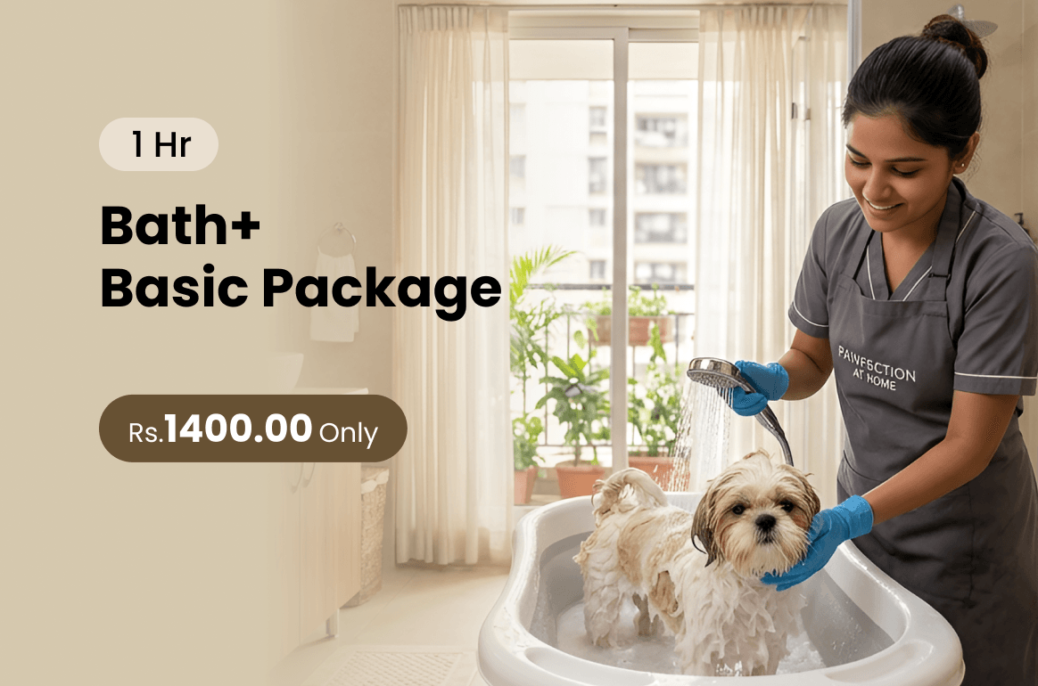 MonikaPetClinicandPetGrooming